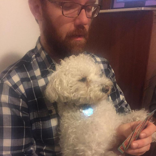 Millie is terrible at poker, but she looks cute playin